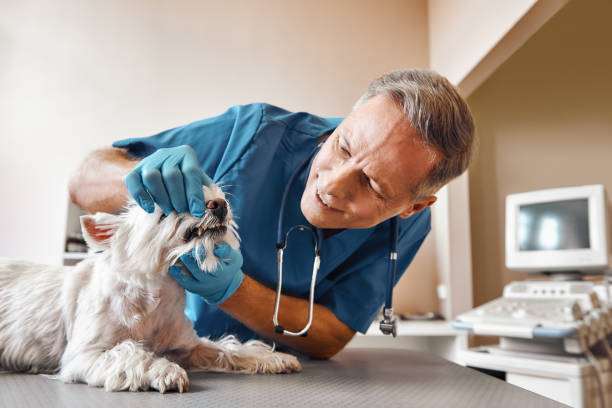 Best Emergency Root Canal Treatment in Vista Center, NJ